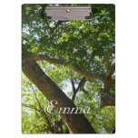 Sycamore Tree Green Nature Photography Clipboard