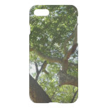 Sycamore Tree Green Nature Photography iPhone 7 Case