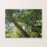 Sycamore Tree Green Nature Photography Jigsaw Puzzle