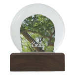 Sycamore Tree Green Nature Photography Snow Globe
