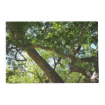 Sycamore Tree Green Nature Placemat