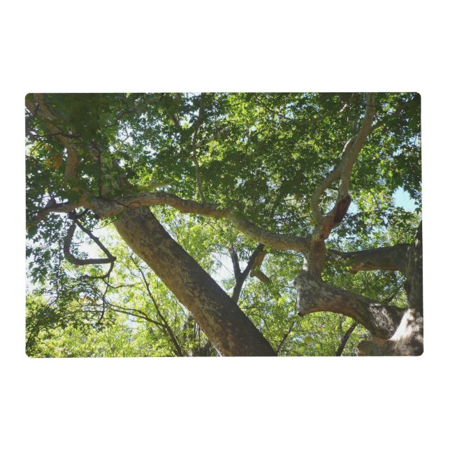 Sycamore Tree Green Nature Placemat (Front)