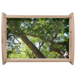 Sycamore Tree Green Nature Serving Tray