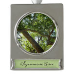 Sycamore Tree Green Nature Silver Plated Banner Ornament