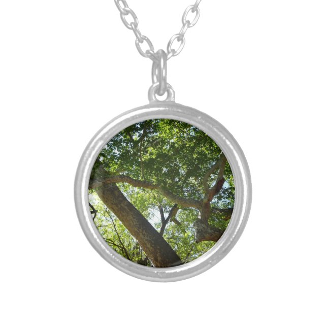 Sycamore Tree Green Nature Silver Plated Necklace (Front)
