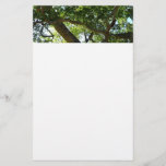 Sycamore Tree Green Nature Stationery