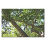 Sycamore Tree Green Nature Tissue Paper
