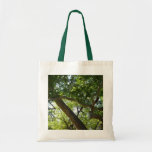 Sycamore Tree Green Nature Tote Bag