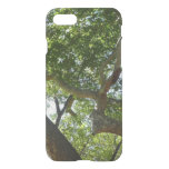Sycamore Tree Green Nature iPhone SE/8/7 Case