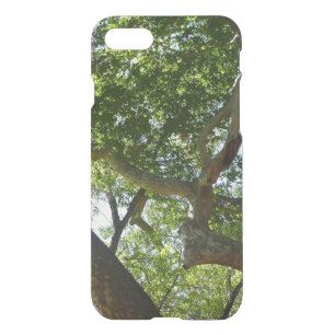 Sycamore Tree Green Nature iPhone SE/8/7 Case