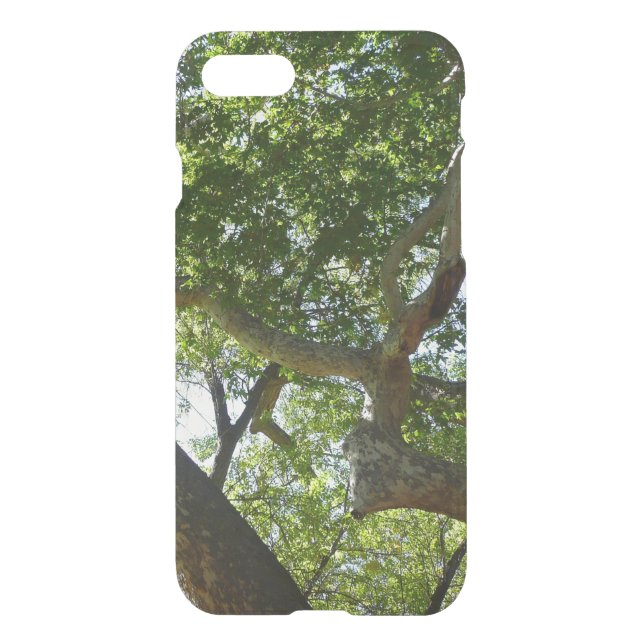 Sycamore Tree Green Nature Uncommon iPhone Case (Back)