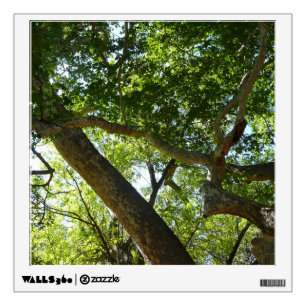 Sycamore Tree Green Nature Wall Decal