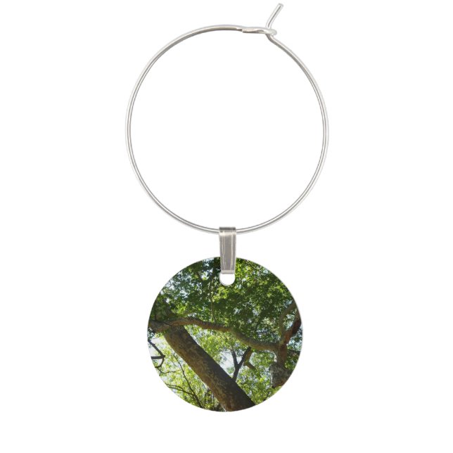 Sycamore Tree Green Nature Wine Glass Charm (Front)