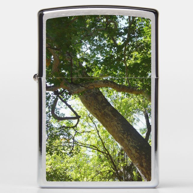 Sycamore Tree Green Nature Zippo Lighter (Front)