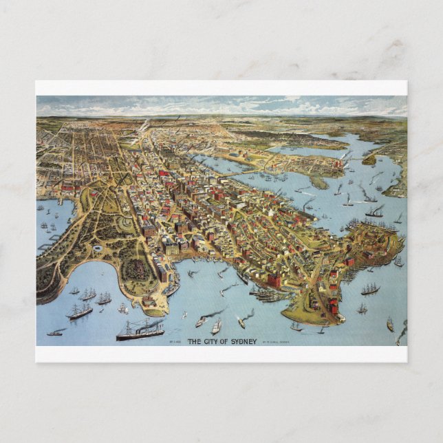 sydney1888 postcard (Front)