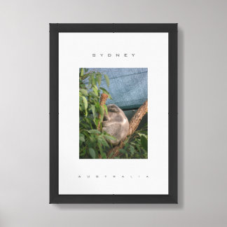 Sydney Australia Koala Wildlife Travel Framed Art