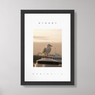 Sydney Australia Seagull Travel Framed Art