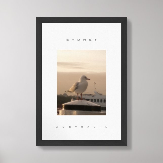 Sydney Australia Seagull Travel Framed Art (Framed Front)