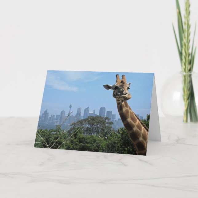 Sydney Giraffe Australia Blank Greeting Card (Front)