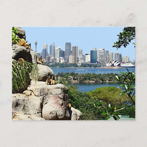 Sydney Harbor from the Zoo Postcard