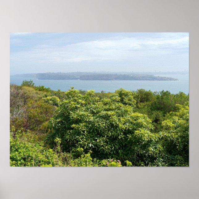 sydney harbor lookout from manly poster (Front)
