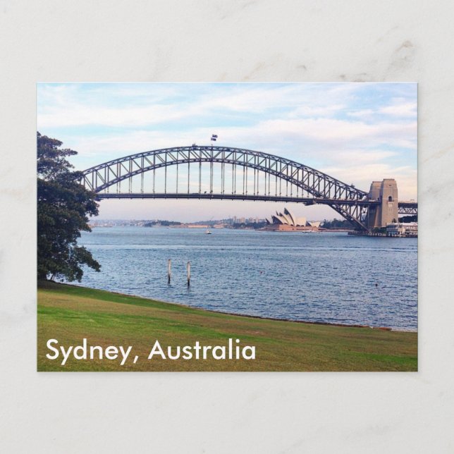 sydney harbour lawn postcard (Front)