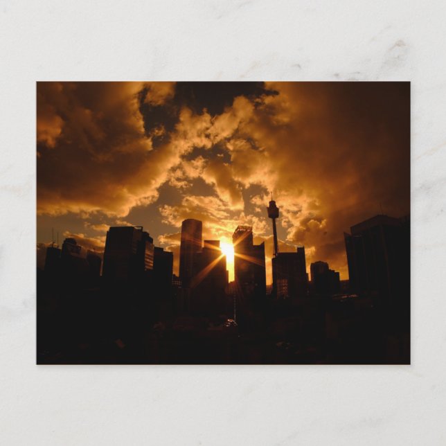 Sydney skyline at night postcard (Front)