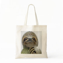 Sydney The Three-Toed Sloth