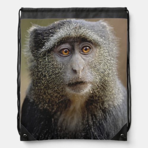 Sykes or Blue Monkey Cercopithecus mitis Drawstring Bag