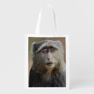 Sykes or Blue Monkey, Cercopithecus mitis, Grocery Bag