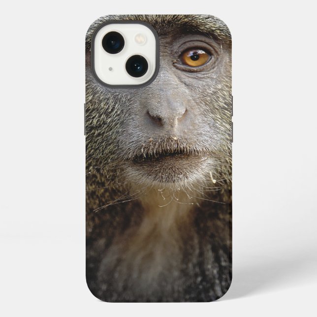 Sykes or Blue Monkey, Cercopithecus mitis, Iphone Case (Back)