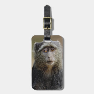 Sykes or Blue Monkey, Cercopithecus mitis, Luggage Tag
