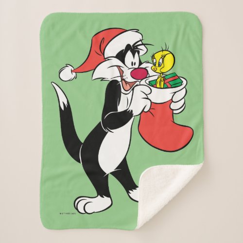 Sylvester Cat with Stocking Sherpa Blanket