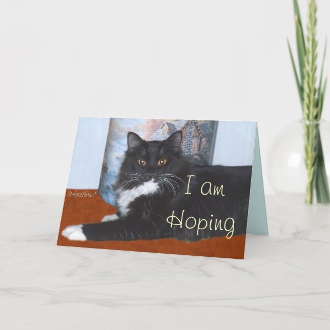 Sylvester-customize Thank You Card (Front)