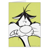 SYLVESTER™ Face (Front)