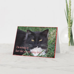 Sylvester-Get Well-customize Card