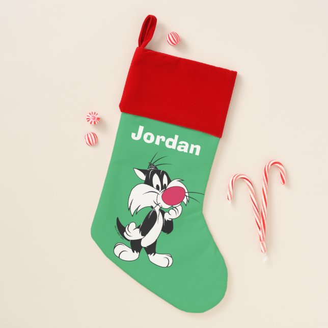 Sylvester Jr. | Classic Pose Christmas Stocking (Front)