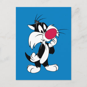Sylvester Jr. Classic Pose Postcard