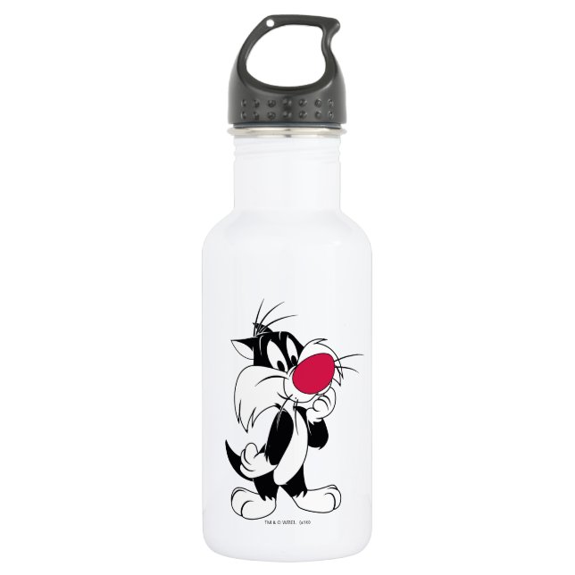 Sylvester Jr. | Classic Pose Stainless Steel Water Bottle (Front)