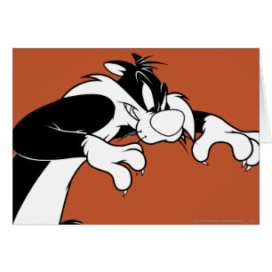 SYLVESTER™ Prowling Cards