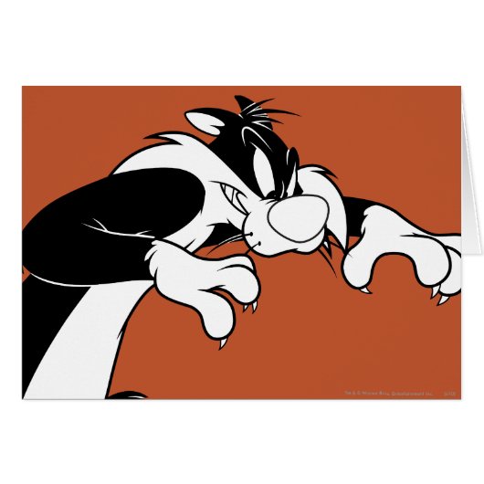 SYLVESTER™ Prowling Cards (Front Horizontal)