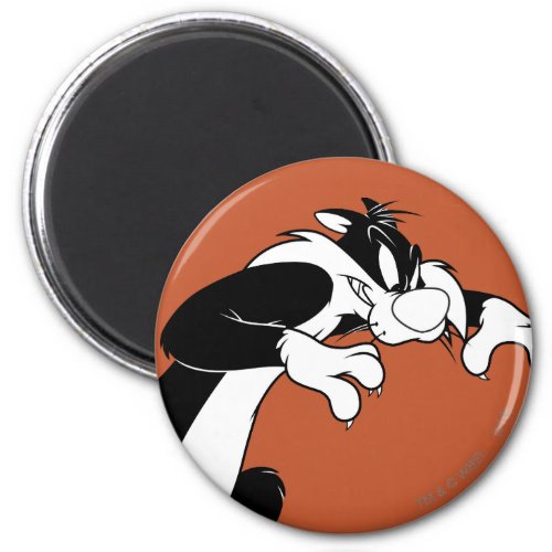 SYLVESTER Prowling Magnet