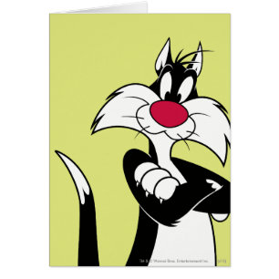 SYLVESTER™ Red Nose Cards