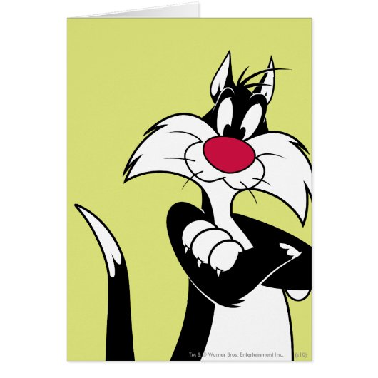 SYLVESTER™ Red Nose Cards (Front)
