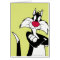 SYLVESTER™ Red Nose