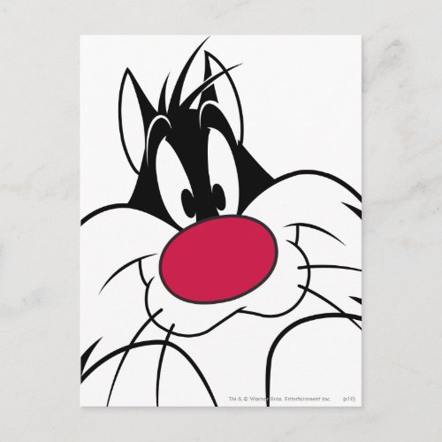 SYLVESTER Red Nose Face Postcard