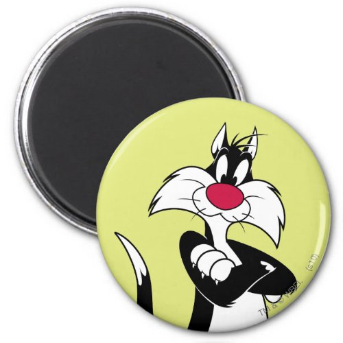 SYLVESTER Red Nose Magnet