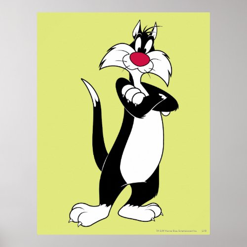 SYLVESTER Red Nose Poster