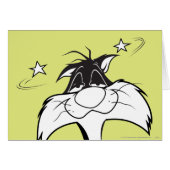 SYLVESTER™ Sore Head (Front Horizontal)