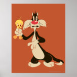 SYLVESTER™